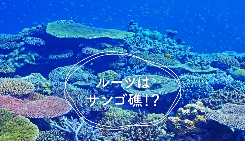 サンゴ礁の写真です